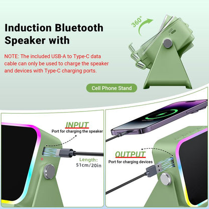 Wireless Induction Auto Speaker