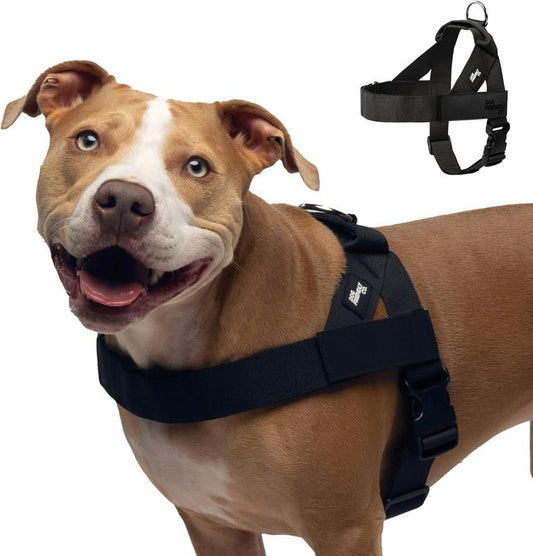Dog Friendly Walking Harness