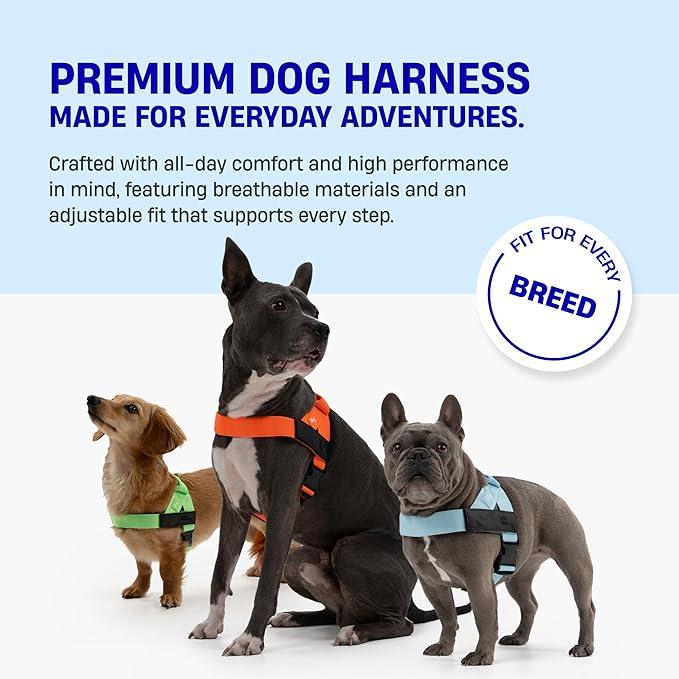 Dog Friendly Walking Harness