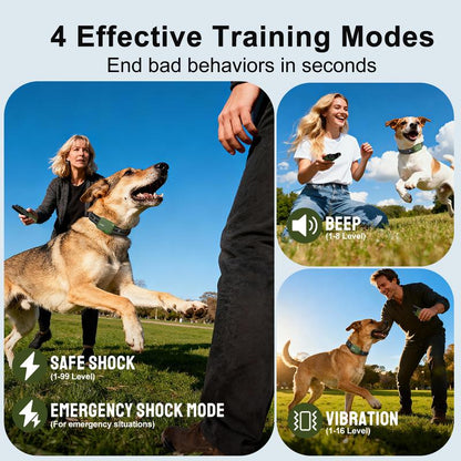 Dog Training Collar