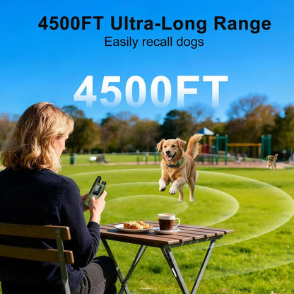Dog Training Collar