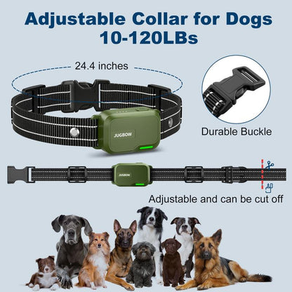 Dog Training Collar
