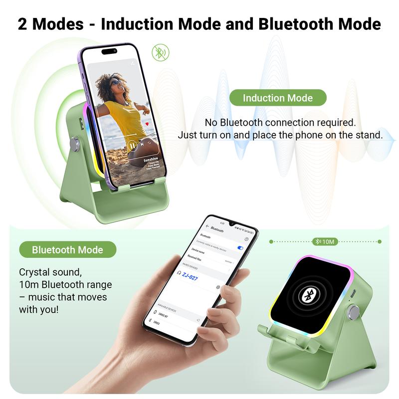 Wireless Induction Auto Speaker