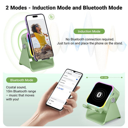 Wireless Induction Auto Speaker